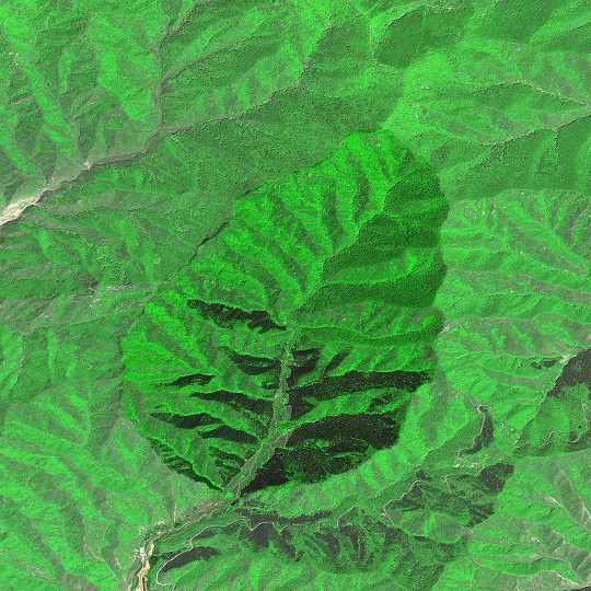 ͼƬ1.png